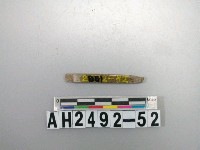 藏品(玉針殘件)的圖片